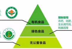 14001認證的基本步驟有哪些